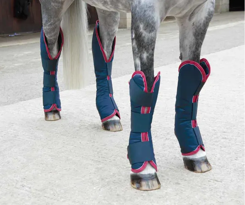 Shires Travel Boots Navy Red Cob