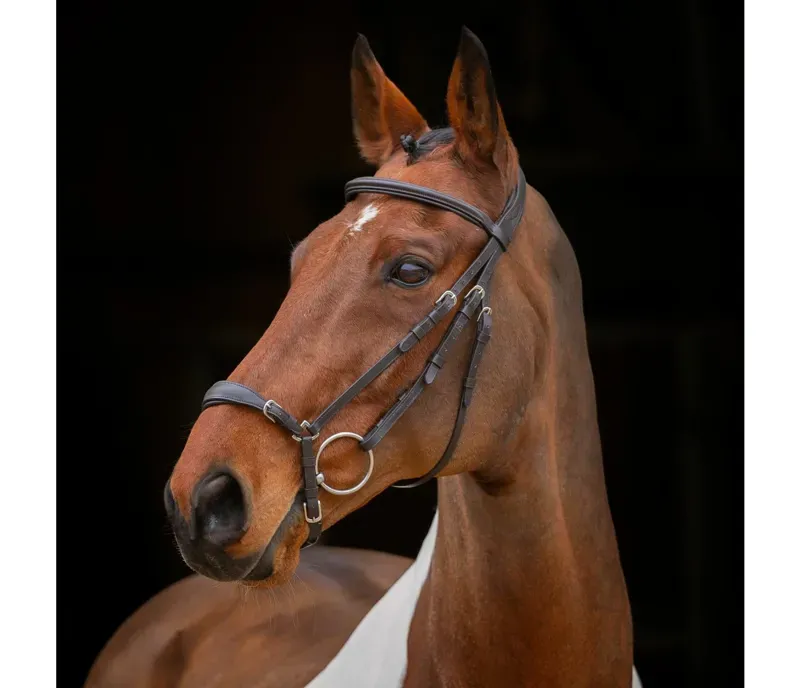 Velociti Drop Noseband Bridle in Havana