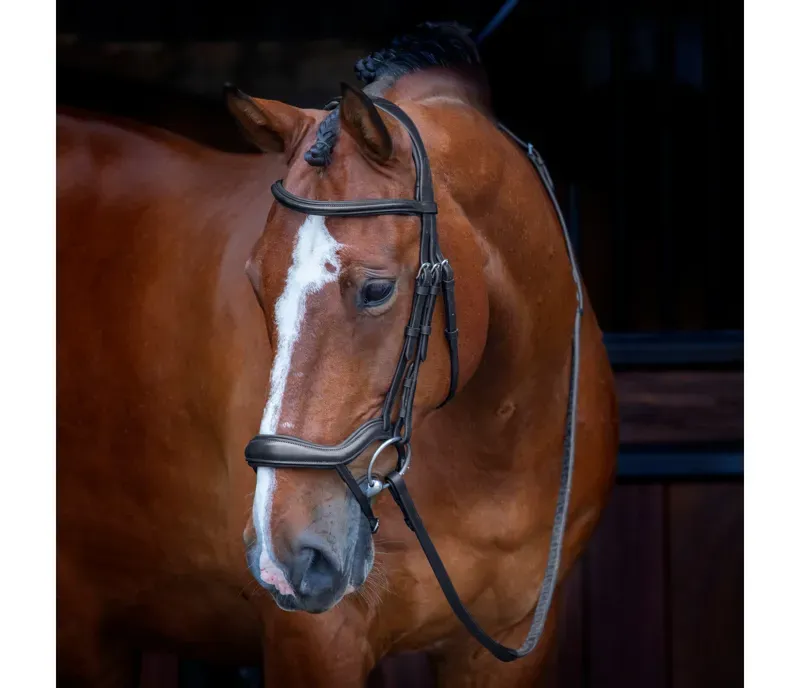 Velociti Ergonomic Flash Bridle in Black