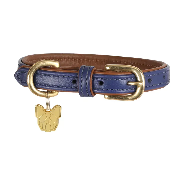 Digby and Fox Medium/Large Padded Leather Dog Collar in Navy