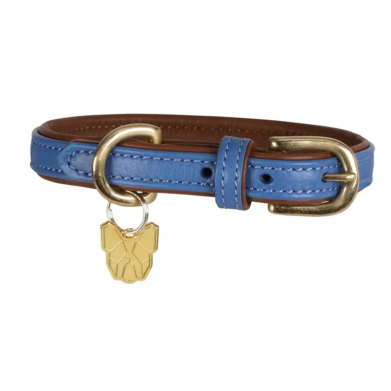 Digby and Fox X-Large Padded Leather Dog Collar in Royal