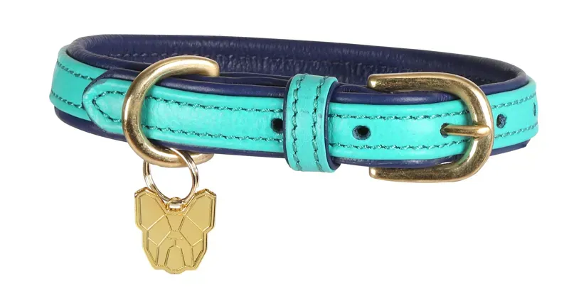 Digby and Fox Medium/Large Padded Leather Dog Collar in Aqua