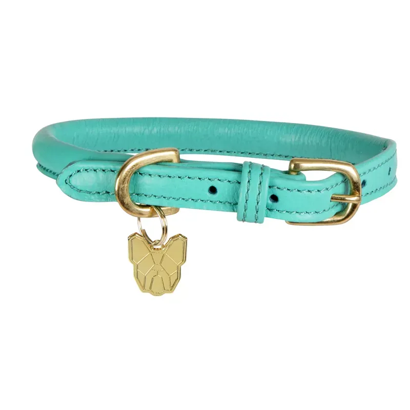 Digby and Fox Rolled Leather Dog Collar TEAL