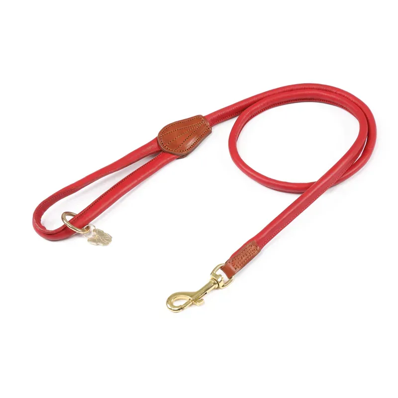 Digby and Fox Rolled Leather Dog Lead in Scarlett