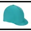 Shires One Size Hat Cover In Teal