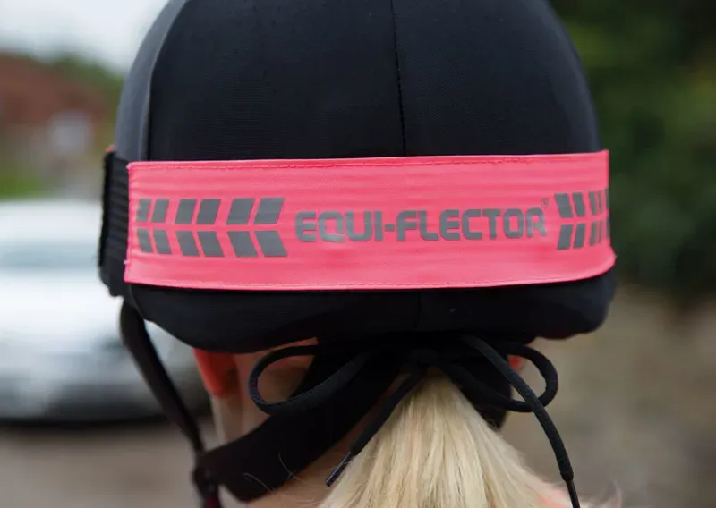 Equi-Flector Hat Band in Pink