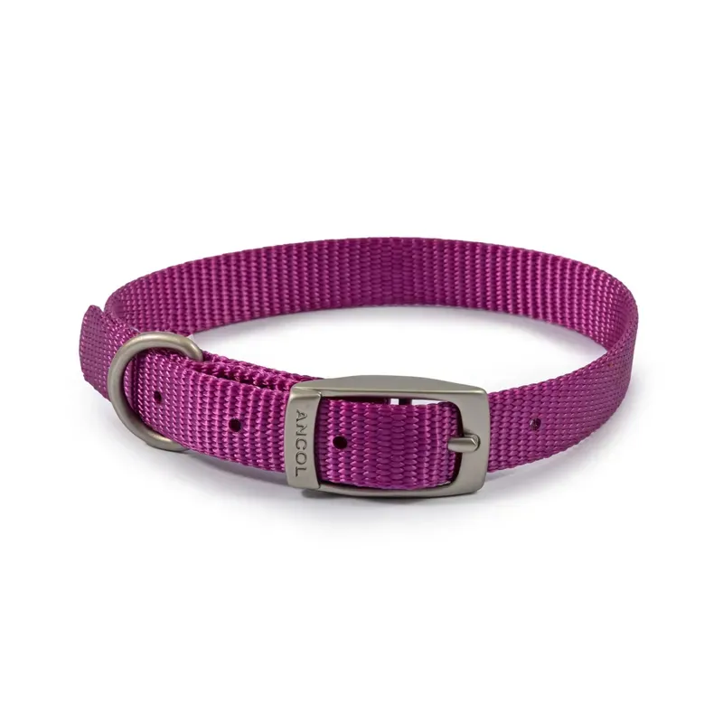 Ancol Viva Collar in Purple