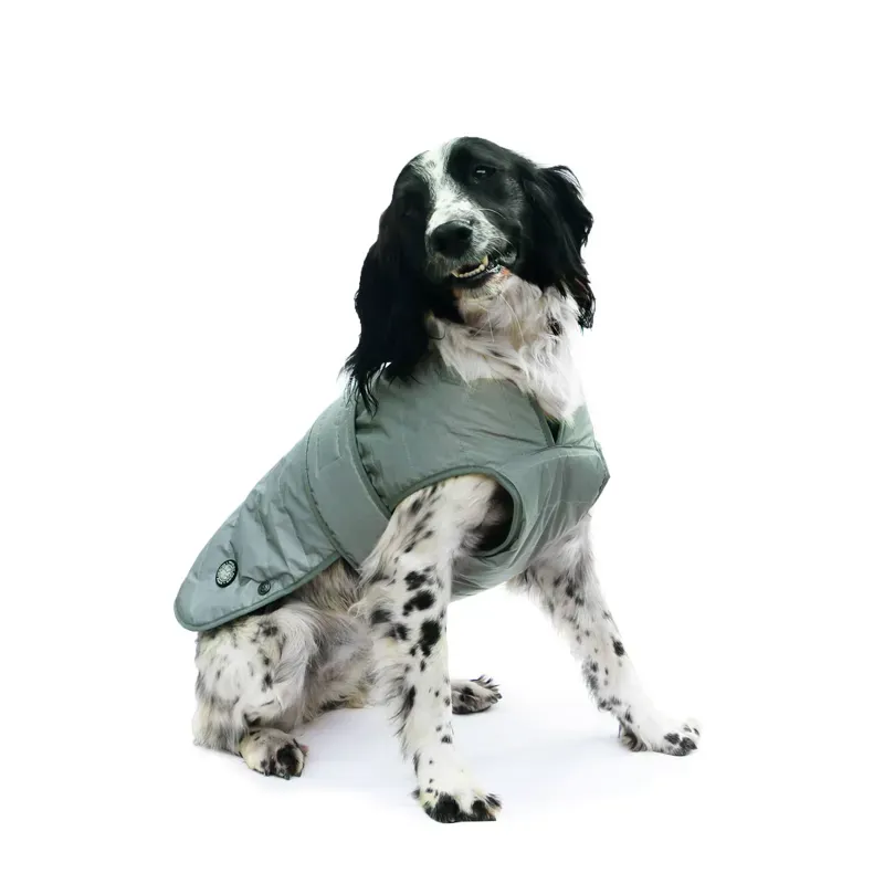 Ultimate Reflective Coat