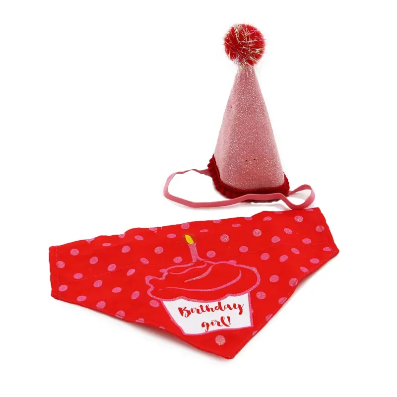 Ancol 19cm Pawty Time Party Hat and Bandana Set in Pink