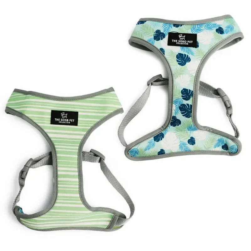 Ancol Stripe/Leaf Soho Pet Harness in Green