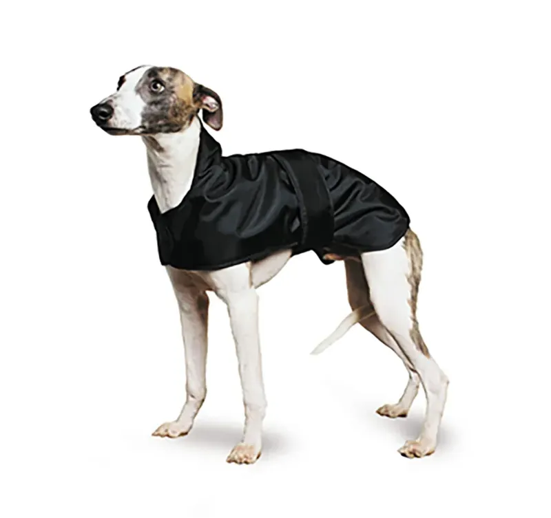 Ancol 43cm  X 42 - 54cm Hound Dog Coat in Black