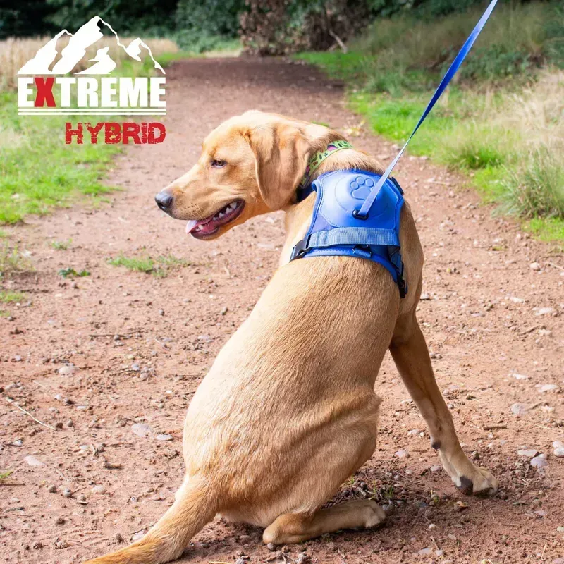 Ancol Medium Extreme Hybrid Harness in Aqua Blue