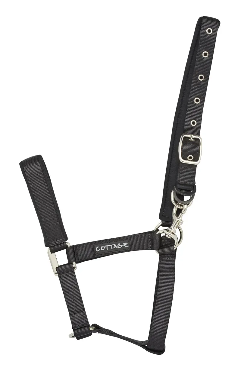 Turnout Safe Headcollar Back Full
