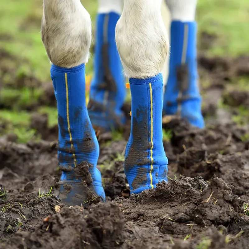 Equilibrium Equi-Chaps Close Contact Chaps - NAVY-1