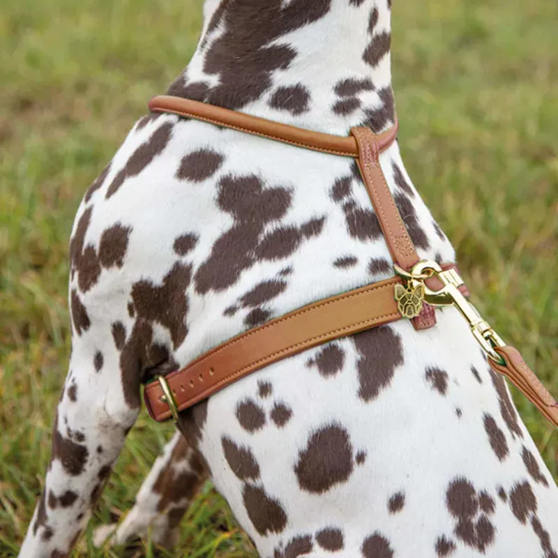 Digby and Fox Rolled Leather Harness Tan
