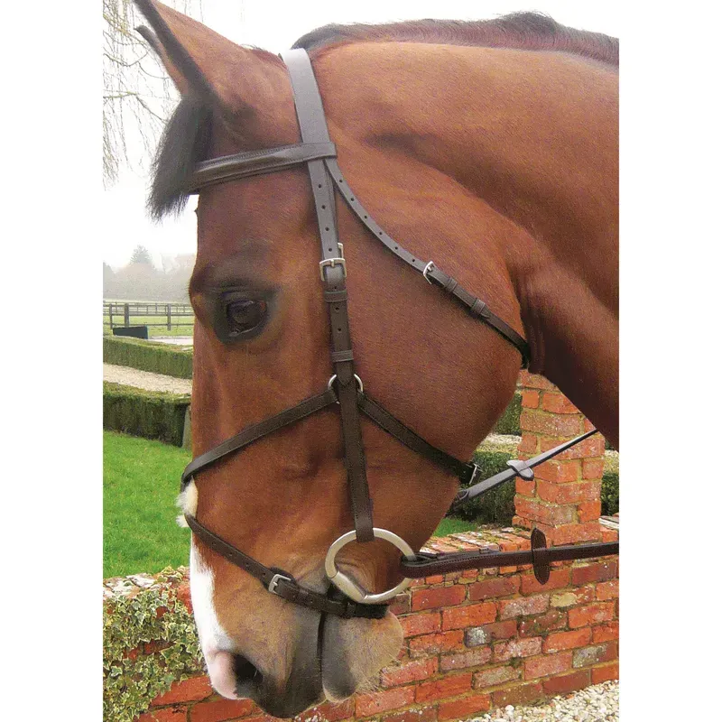 JHL Grakle Bridle Brown Cob