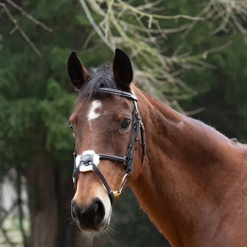 Hy Equestrian Mexican Grackle Bridle with Rubber Grip Reins in Brown