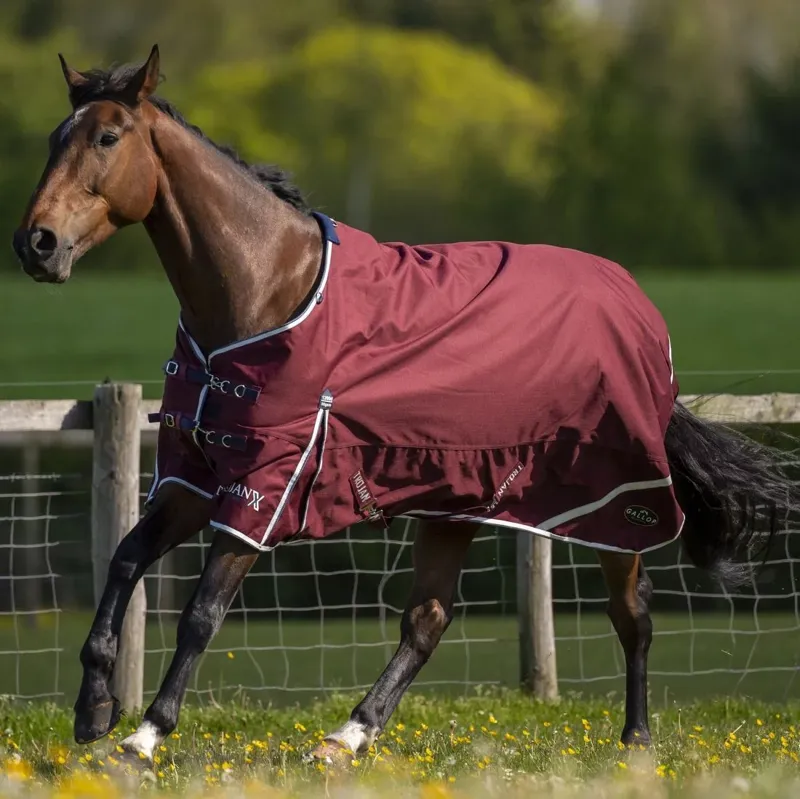 Gallop Trojan Xtra 50g Burg/Navy