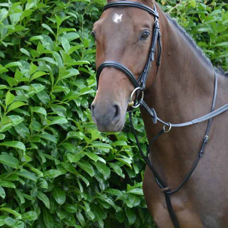 Hy Equestrian Running Martingale - - Brown