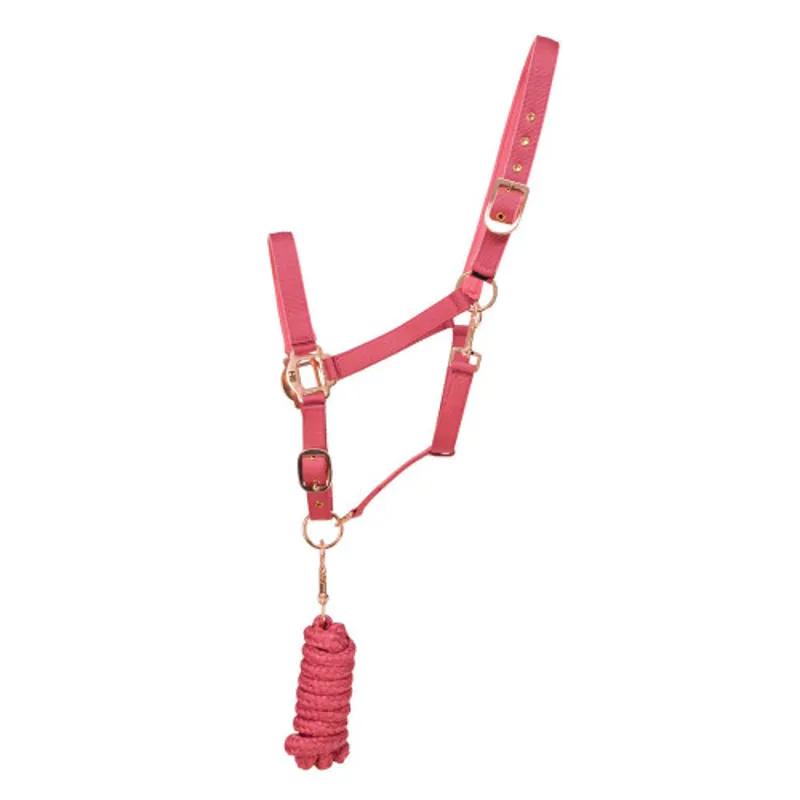 Hy Equestrian Rose Gold Head Collar and Lead Rope  Blush Pink/Rose Gold