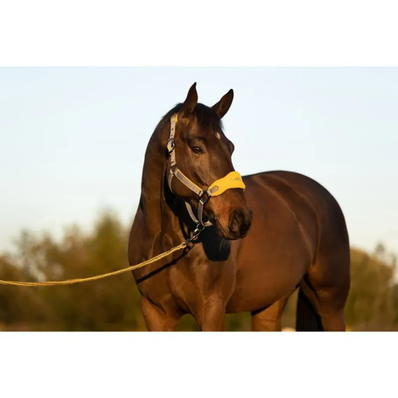 Lemieux Vogue Fleece Head Collar and Rope - Dijon-2