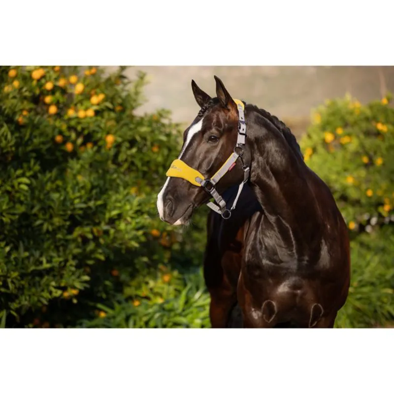 Lemieux Vogue Fleece Head Collar and Rope - Dijon-1