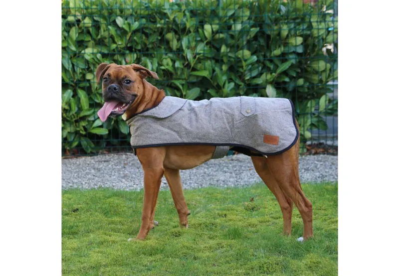 Ancol Herringbone Coat-2