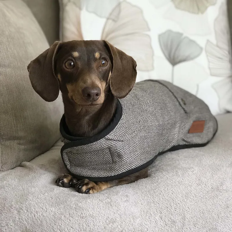 Ancol Herringbone Coat-1