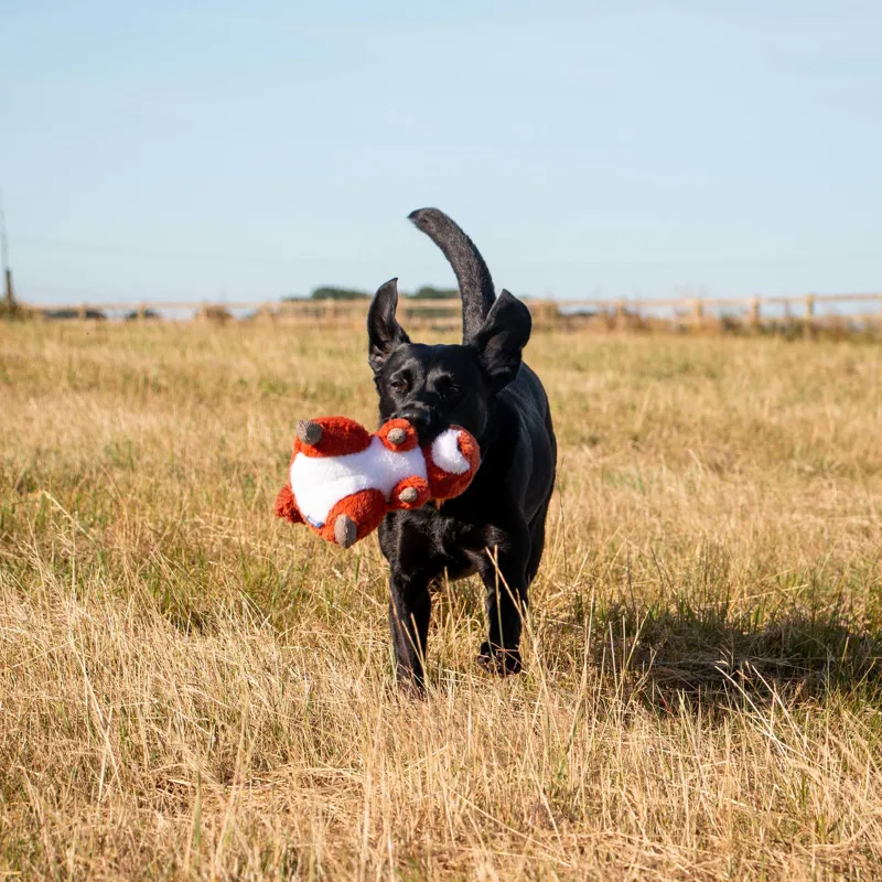 Ancol Samantha Squirrel-1