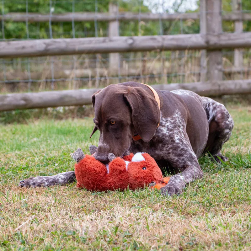 Ancol Samantha Squirrel-2