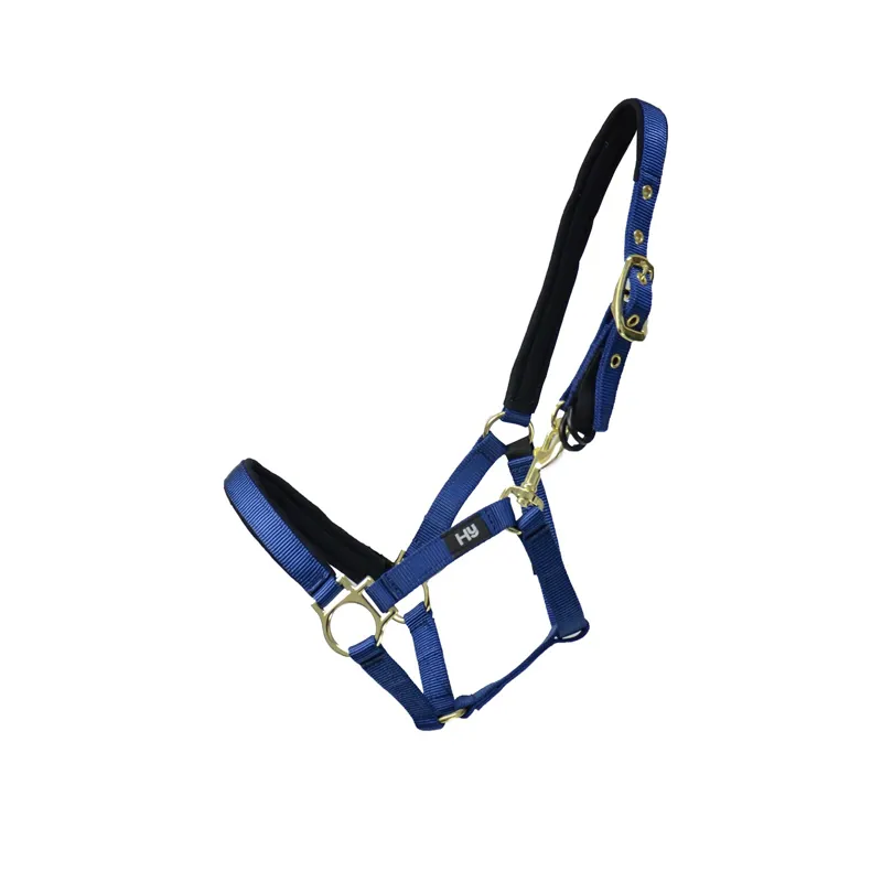 Hy Foal Head Collar - - Navy one size