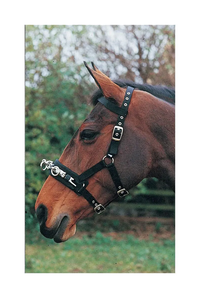 Hy Equestrian Lunge Cavesson - - Black 