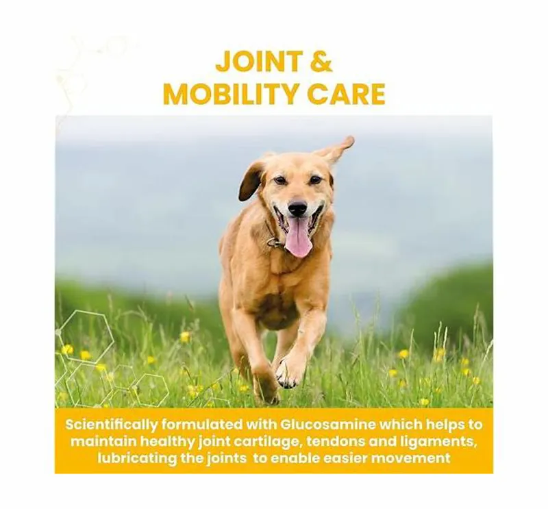 Vetzyme Flex Joint 90 tablets-1