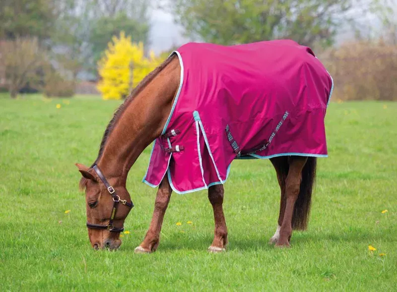 Bridleway Ontario 0g Lightweight Turnout Raspberry