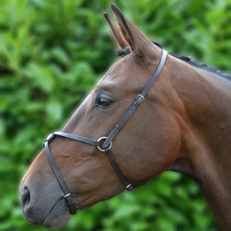Hy Equestrian Mexican Grackle Noseband - - Black