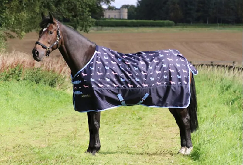 StormX Liza Lightweight Og Turnout Rug