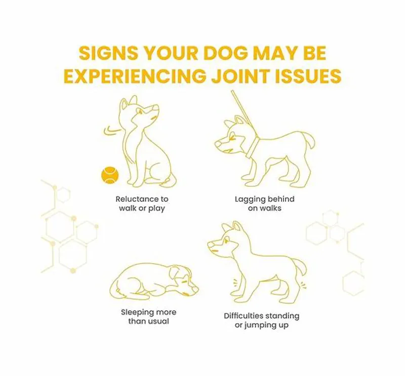 Vetzyme Flex Joint 90 tablets-2