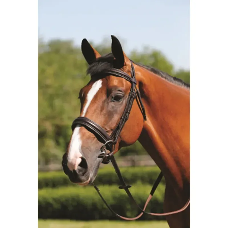 Mark Todd Cob Padded Cavesson Bridle In Black