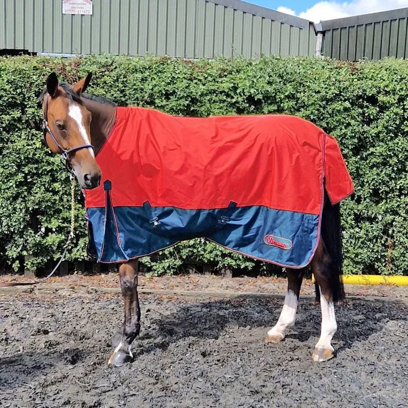 Whitaker Rudston 50 Gm - Red 6' 3 turnout rug